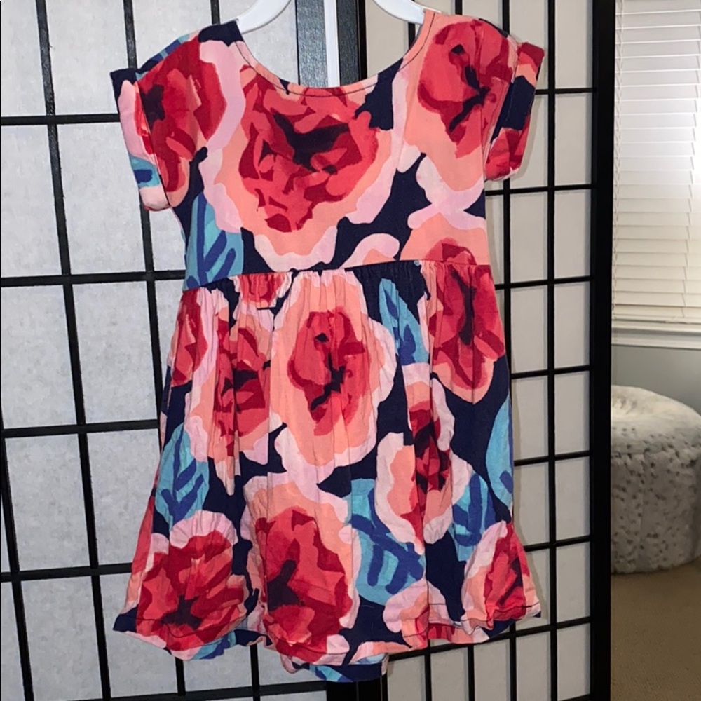 Gymboree colored rose dress